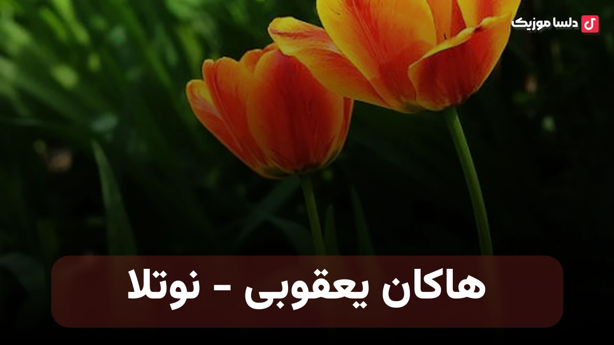 ترکی هاکان یعقوبی نوتلا گوزی قاشی سیندرلا یاراشیر ایزابلا